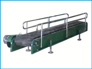 Băng tải chuyển bao sau cân tịnh